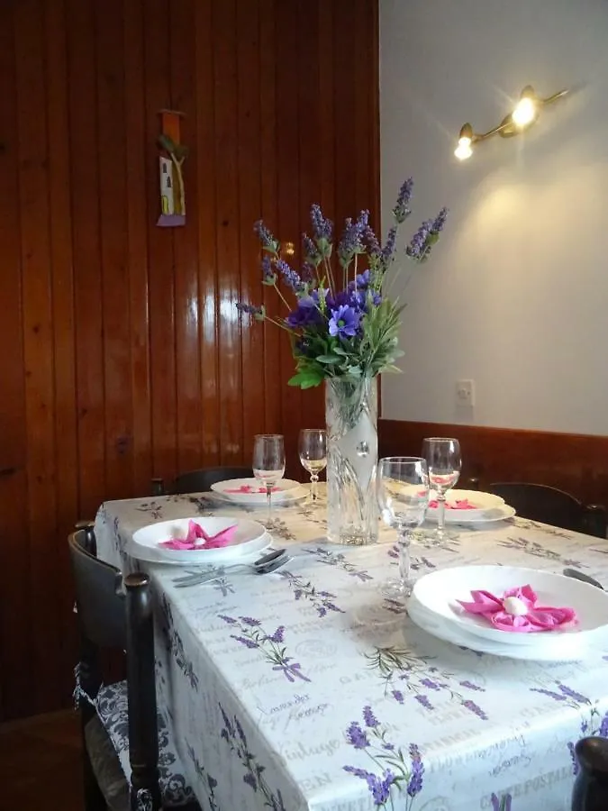 Apartman Iris S Terasom Rijeka Daire
